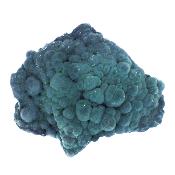 Malachite Fibrous Botryoidal Raw Crystal Specimen.   SP17835