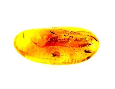 POLISHED AMBER SPECIMEN WITH INSECT INCLUSIONS.   SP11289POL