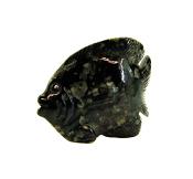 CARVING OF A FISH IN DRAGON'S BLOOD JASPER.   SP11320POL