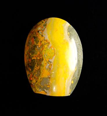 BUMBLE BEE JASPER POLISHED FREE FROM SPECIMEN.   SP11673POL