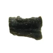 Darwin Glass Tektite Specimen.   SP15784