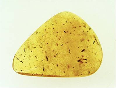 MADAGASCAN COPAL (YOUNG AMBER) SPECIMEN. SP6960