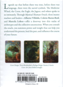Mystical Shaman Oracle by Alberto Villoldo, Collette Baron-Reid & Marcela Lobos.   SPR17909