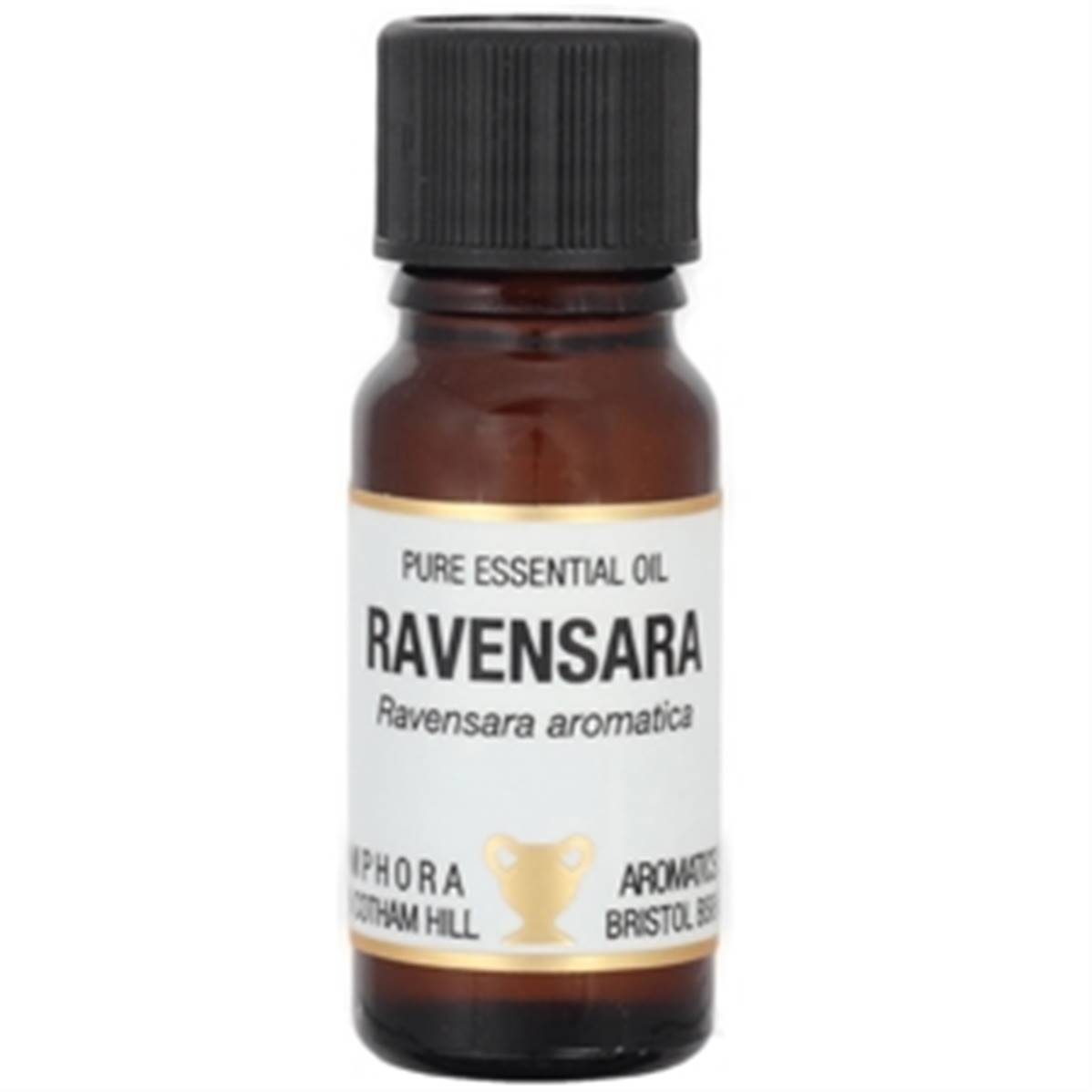 PURE ESSENTIAL OIL RAVENSARA, ravensara aromatica. SPR8642