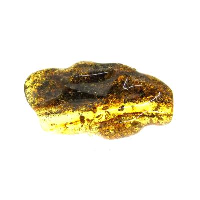 Polished Baltic Amber Specimen.   SP15587POL 