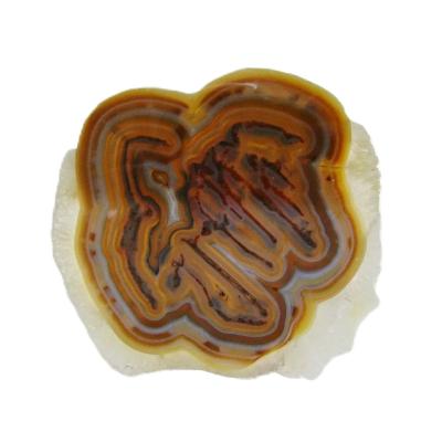 Agate Polished Geode Slice Specimen Coloured Tan.   SP15685POL