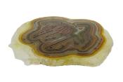 Agate Polished Geode Slice Specimen Coloured Tan.   SP15685POL