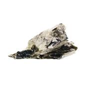 Raw Mica Specimen With Black Tourmaline Inclusions.   SP16356SLF