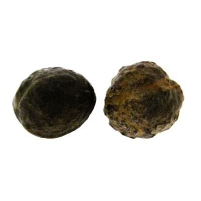 Pair Of Genuine Moqui Marbles (Shamen Stone).   SP16683
