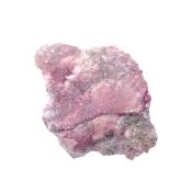 Roasalite Raw Crystal Specimen.   SP17013