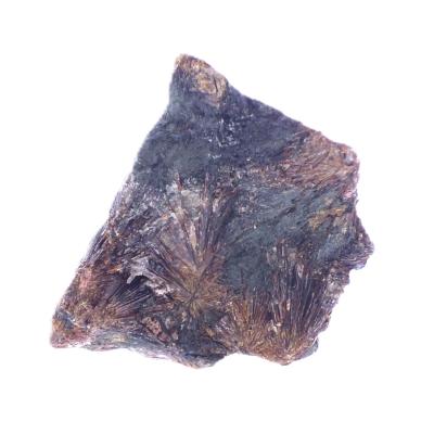 Lamprophyllite Raw Crystal Specimen.   SP17675