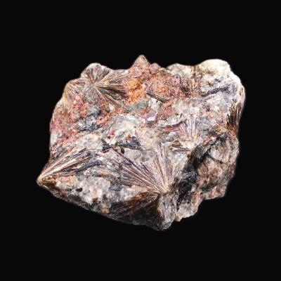 lamprophyllite Raw Crystal Specimen.   SP17873
