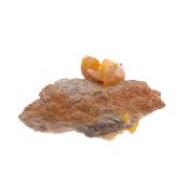 Wulfenite Raw Crystal Specimen.   SP17875