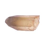 Natural Citrine Raw Point Specimen.   SP17885