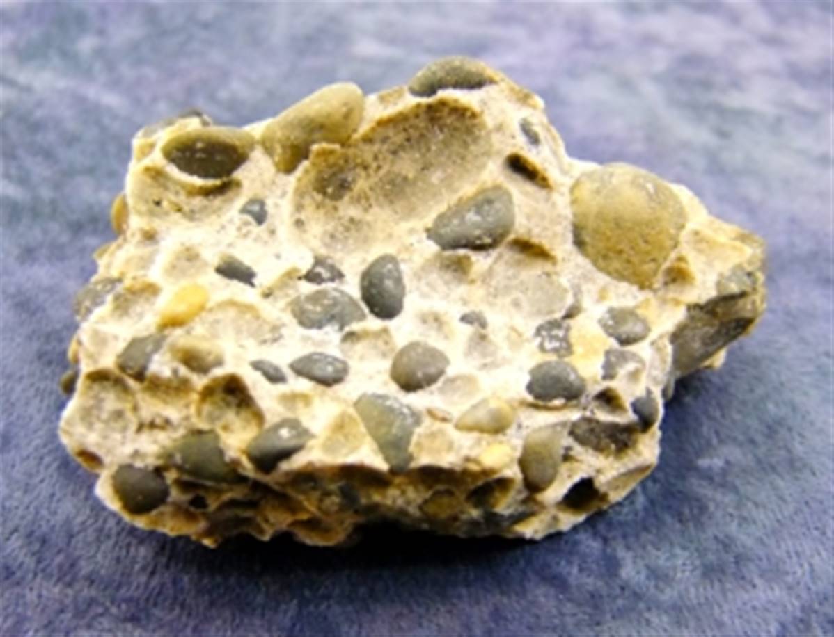 PUDDING STONE ROUGH NODULE SPECIMEN. SP8649