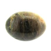 Oval Shape Fully Polished Palm Stone in Black Moonstone.    SP15884POL   