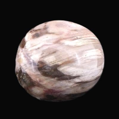 Petrified Wood Polished Pebble/ Palm Stone.   SP17366POL
