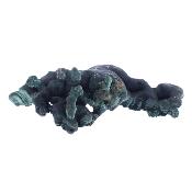 Malachite Fibrous Botryoidal Raw Crystal Specimen.   SP17833