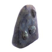 Carving Of Ladybirds On A Polished Piece Of Labradorite.   SP17911POL