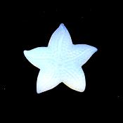 Starfish Carving in Opalite.   SPR15234POL