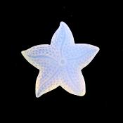 Starfish Carving in Opalite.   SPR15234POL