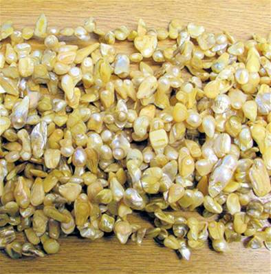 FRESH WATER PEARL BEAD STRINGS (DYED YELLOW). SPR4901