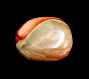 POLYCHROME JASPER POLISHED PEBBLE SPECIMEN.   SP11934POL