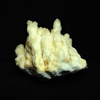 Coral Aragonite (Cave Calcite) Crystal Specimen.   SP15668