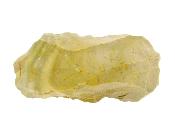 Neolithic Axe Head.   SP16483