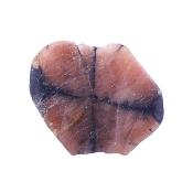 Chiastolite Cross Polished Face Crystal Specimen.   SP17723POL