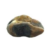 Chiastolite Cross Polished Face Crystal Specimen.   SP17724POL