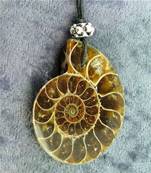 POLISHED FACE AMMONITE FOSSIL PENDANT. SP4198PEND
