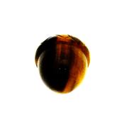 Acorn Carving in Tiger's eye.   SPR15250POL