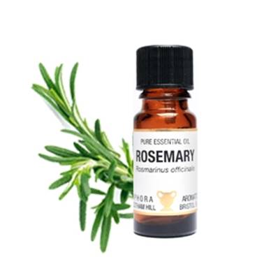 PURE ESSENTIAL OIL - ROSEMARY, rosmarinus officinalis. SPR6745