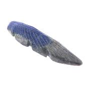 Carving Of A Feather In Sodalite.   SP17149POL