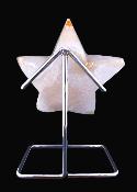Agate Geode Star Carving On Metal Stand.   SP17570POL