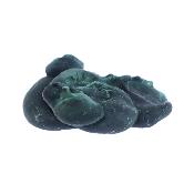 Malachite Botryoidal Raw Crystal Specimen.   SP17788